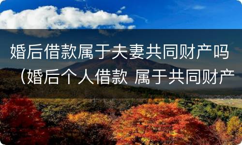 婚后借款属于夫妻共同财产吗（婚后个人借款 属于共同财产吗）