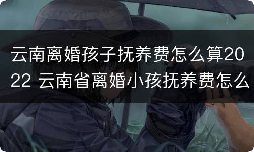 云南离婚孩子抚养费怎么算2022 云南省离婚小孩抚养费怎么算