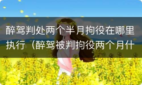 醉驾判处两个半月拘役在哪里执行（醉驾被判拘役两个月什么时候去执行）