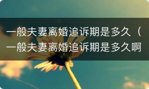 一般夫妻离婚追诉期是多久（一般夫妻离婚追诉期是多久啊）