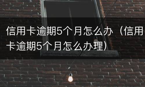 信用卡逾期5个月怎么办（信用卡逾期5个月怎么办理）