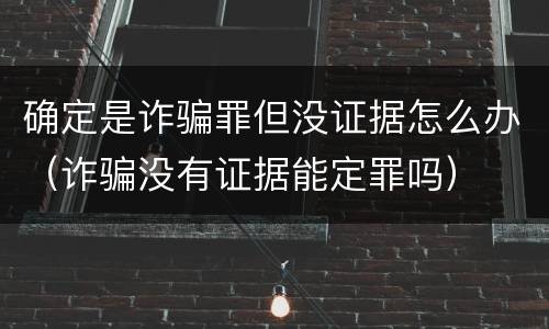 确定是诈骗罪但没证据怎么办（诈骗没有证据能定罪吗）