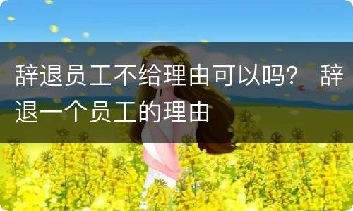 辞退员工不给理由可以吗？ 辞退一个员工的理由