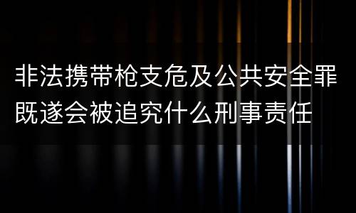非法携带枪支危及公共安全罪既遂会被追究什么刑事责任
