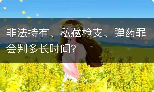 非法持有、私藏枪支、弹药罪会判多长时间？