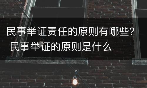 民事举证责任的原则有哪些？ 民事举证的原则是什么