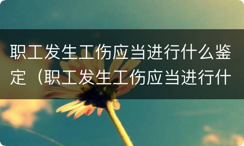 职工发生工伤应当进行什么鉴定（职工发生工伤应当进行什么鉴定?）