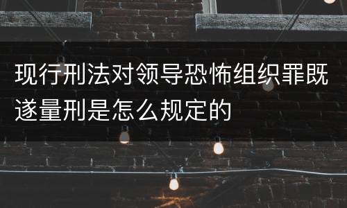 现行刑法对领导恐怖组织罪既遂量刑是怎么规定的