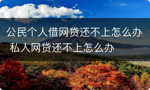 公民个人借网贷还不上怎么办 私人网贷还不上怎么办