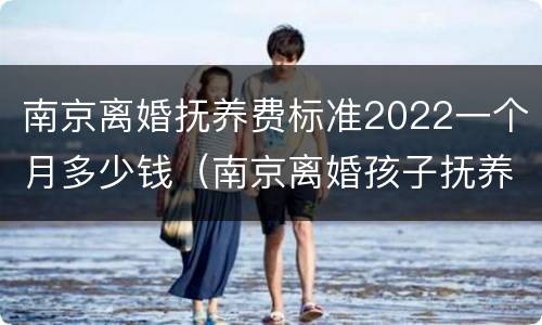 南京离婚抚养费标准2022一个月多少钱（南京离婚孩子抚养费多少钱一个月）