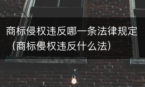 商标侵权违反哪一条法律规定（商标侵权违反什么法）