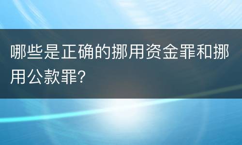 哪些是正确的挪用资金罪和挪用公款罪？