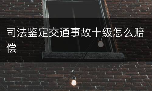 司法鉴定交通事故十级怎么赔偿