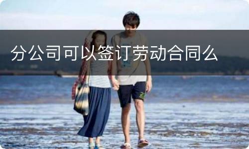 分公司可以签订劳动合同么