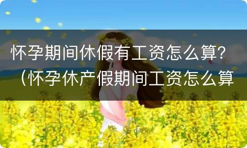怀孕期间休假有工资怎么算？（怀孕休产假期间工资怎么算）