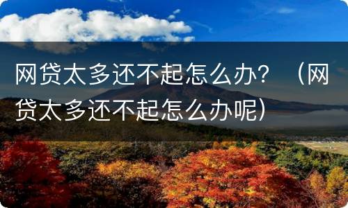 网贷太多还不起怎么办？（网贷太多还不起怎么办呢）