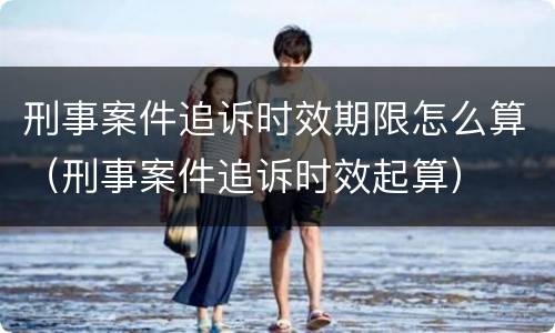 刑事案件追诉时效期限怎么算（刑事案件追诉时效起算）