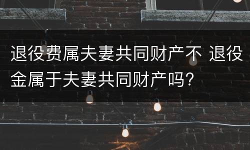 退役费属夫妻共同财产不 退役金属于夫妻共同财产吗?