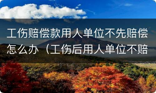 工伤赔偿款用人单位不先赔偿怎么办（工伤后用人单位不赔偿怎么办）