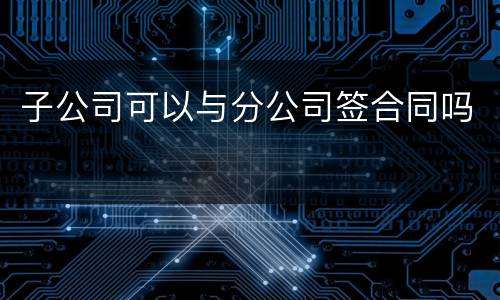 子公司可以与分公司签合同吗