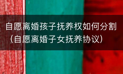自愿离婚孩子抚养权如何分割（自愿离婚子女抚养协议）