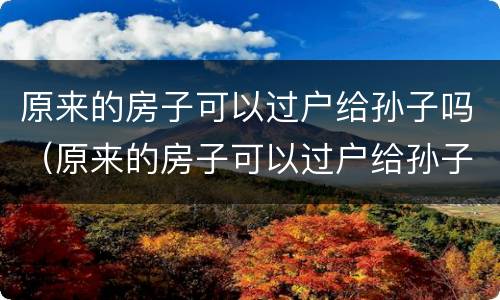 原来的房子可以过户给孙子吗（原来的房子可以过户给孙子吗要交税吗）