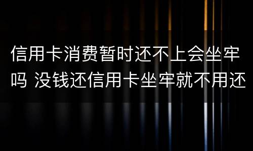 信用卡消费暂时还不上会坐牢吗 没钱还信用卡坐牢就不用还了吗
