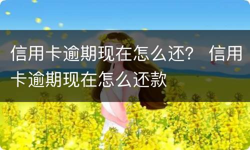 信用卡逾期现在怎么还？ 信用卡逾期现在怎么还款