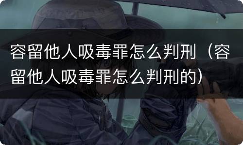 容留他人吸毒罪怎么判刑（容留他人吸毒罪怎么判刑的）