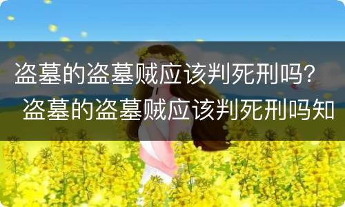 盗墓的盗墓贼应该判死刑吗？ 盗墓的盗墓贼应该判死刑吗知乎
