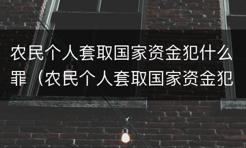 农民个人套取国家资金犯什么罪（农民个人套取国家资金犯什么罪行）