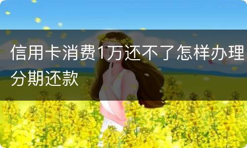 信用卡消费1万还不了怎样办理分期还款
