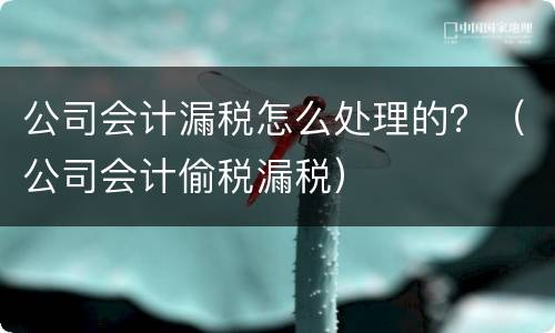 公司会计漏税怎么处理的？（公司会计偷税漏税）