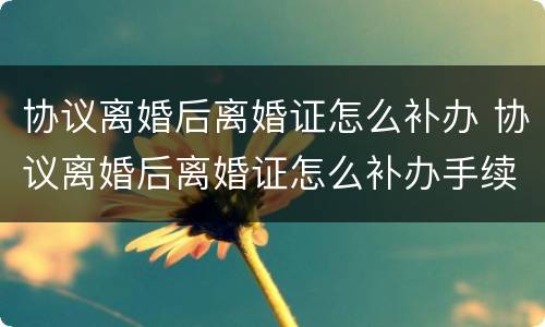 协议离婚后离婚证怎么补办 协议离婚后离婚证怎么补办手续