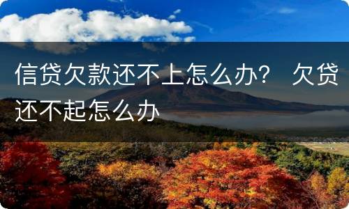信贷欠款还不上怎么办？ 欠贷还不起怎么办