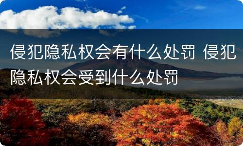 侵犯隐私权会有什么处罚 侵犯隐私权会受到什么处罚