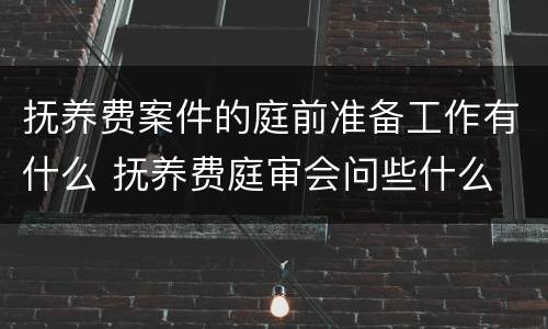 抚养费案件的庭前准备工作有什么 抚养费庭审会问些什么