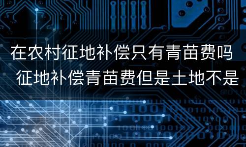 在农村征地补偿只有青苗费吗 征地补偿青苗费但是土地不是自己的