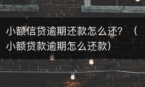 小额信贷逾期还款怎么还？（小额贷款逾期怎么还款）