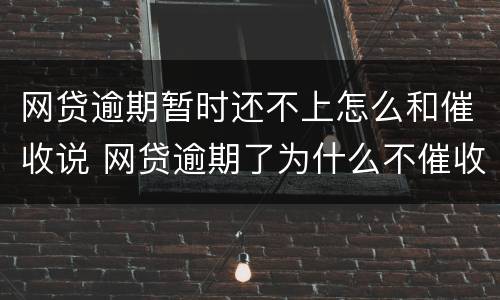 网贷逾期暂时还不上怎么和催收说 网贷逾期了为什么不催收了
