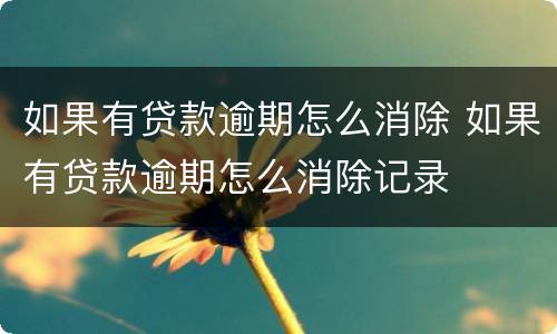 如果有贷款逾期怎么消除 如果有贷款逾期怎么消除记录