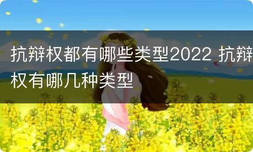 抗辩权都有哪些类型2022 抗辩权有哪几种类型