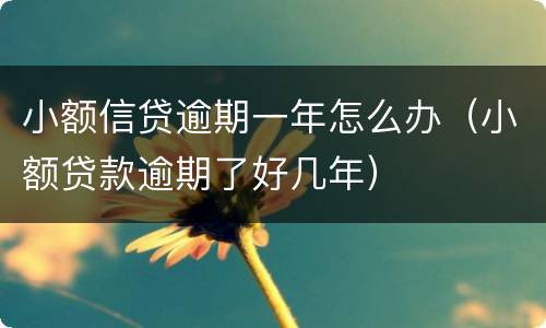 小额信贷逾期一年怎么办（小额贷款逾期了好几年）