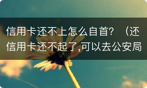 信用卡还不上怎么自首？（还信用卡还不起了,可以去公安局自首不）
