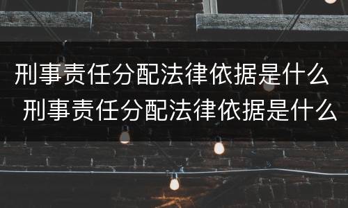 刑事责任分配法律依据是什么 刑事责任分配法律依据是什么规定