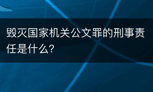 毁灭国家机关公文罪的刑事责任是什么？