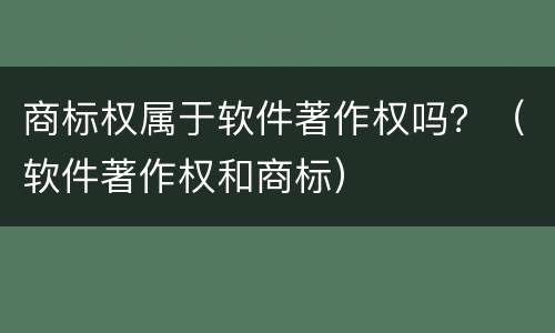 商标权属于软件著作权吗？（软件著作权和商标）