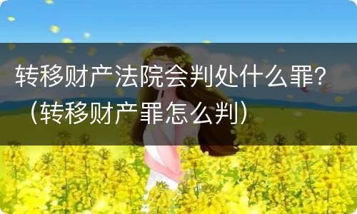 转移财产法院会判处什么罪？（转移财产罪怎么判）