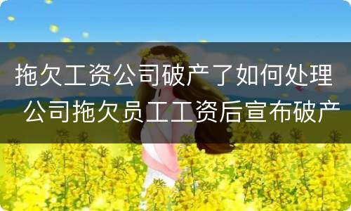 拖欠工资公司破产了如何处理 公司拖欠员工工资后宣布破产