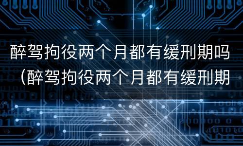 醉驾拘役两个月都有缓刑期吗（醉驾拘役两个月都有缓刑期吗知乎）